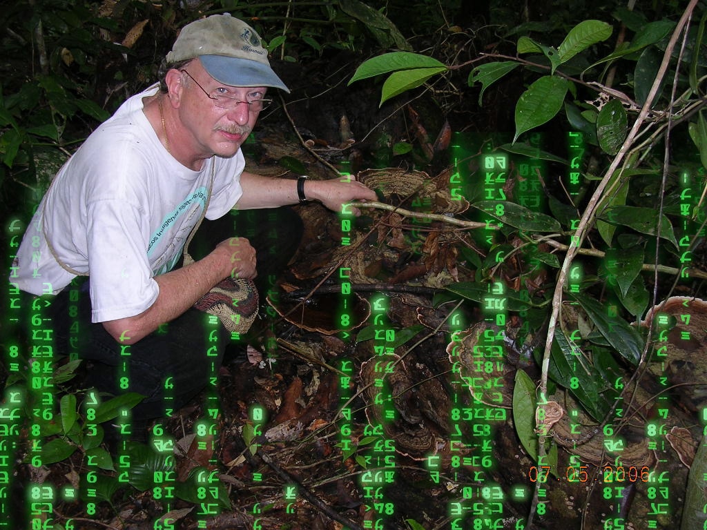 Ayahuasca and Artificial Intelligence: A Conversation with Dennis McKenna