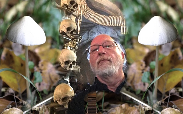 Death and Family Healing with Psilocybin: A Conversation with Dennis McKenna