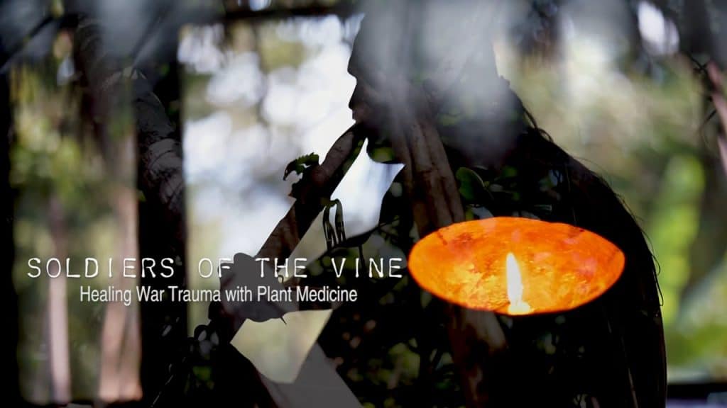 Soldiers Of The Vine Healing Ptsd With Ayahuasca Psychedelic Times