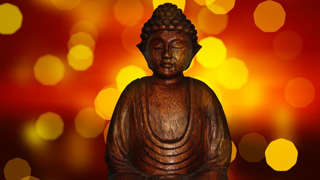 Pot, Paranoia, and Buddhist Wisdom: A Conversation with Stephen Gray