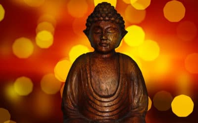 Pot, Paranoia, and Buddhist Wisdom: A Conversation with Stephen Gray