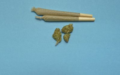 Cannabis Crunch — Majority of Republicans Support Pot and Sessions Can’t Comment on Crackdown