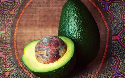 Ayahuasca and Avocados: A Conversation with Rita Kočárová