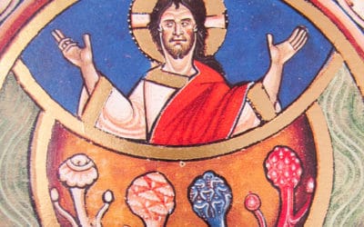 The Psychedelic Gospels: Interview with Jerry Brown Ph.D.