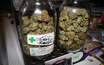 Cannabis Crunch — Ex-Cops Selling Weed, Dubious Marijuana ‘Overdose’ And Don’t Trust Sessions