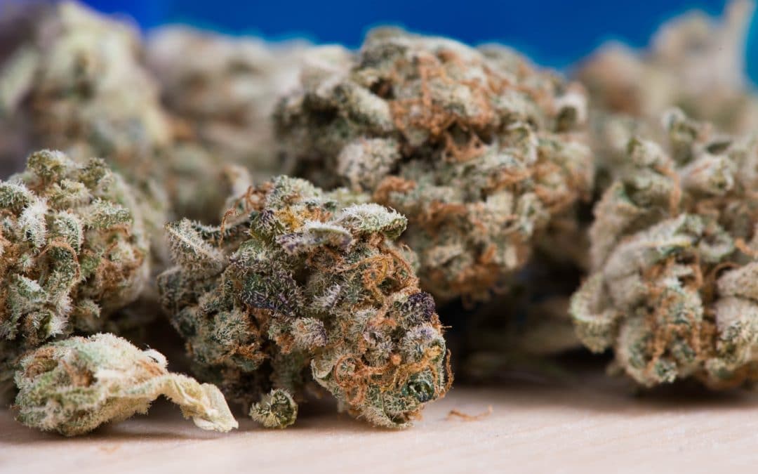 Cannabis Crunch — Arizona MMJ Battle Ends, Denver Closes 26 Legal Dispensaries And WHO OK With CBD