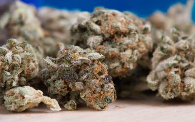 Cannabis Crunch — Arizona MMJ Battle Ends, Denver Closes 26 Legal Dispensaries And WHO OK With CBD