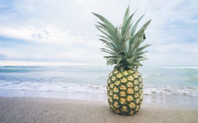 Pineapple Fund Donates 60 Bitcoin to MAPS in Delicate Time for Crypto and Psychedelics