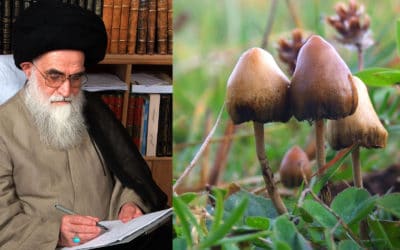 Iranian Religious Authority Considers Psychedelic Medicines Halāl