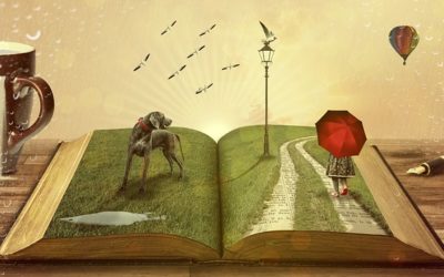 Continuing Further Education with Psychedelics