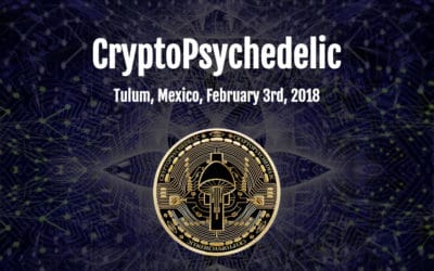 Cryptocurrency and Psychedelics: Interview with Brian Normand of Psymposia