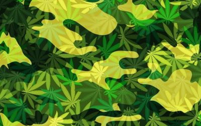 Ongoing Study Looks at the Efficacy of Cannabis-Based Treatments for PTSD