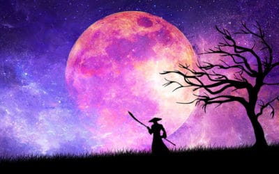 Spiritual Warrior on The Psychedelic Path: Interview with Author Richard Haight