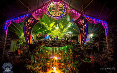 Transformational Festivals and the New Psychedelic Revolution: A Conversation with James Oroc