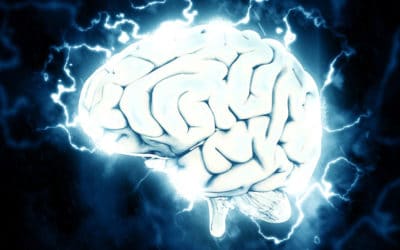 Can Toad Venom Unlock The Mystery Of Neurogenesis? New Insights on 5-MeO-DMT