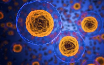 A Brief History of Microdosing Research