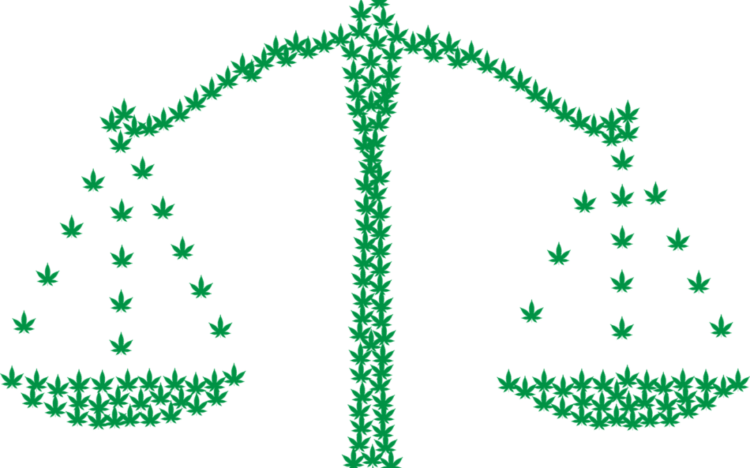“Our lawmakers don’t talk to their constituents.” An Interview with New Mexico Activist Monique Chavez on Why Pot Legalization Failed In Her State