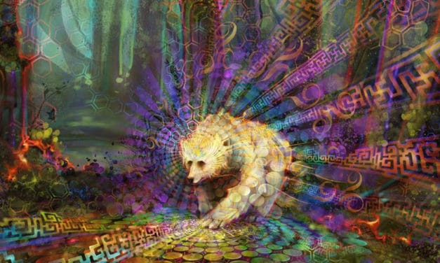 The Magic of Art, Nature and Festival: Interview with Visionary Artist Simon Haiduk