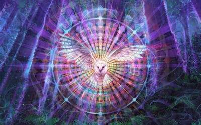 Art as Transformational Medicine: Interview with Visionary Artist Simon Haiduk