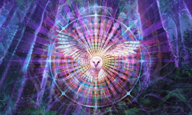 Art as Transformational Medicine: Interview with Visionary Artist Simon Haiduk