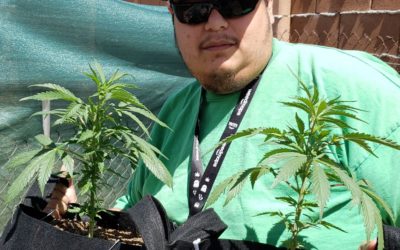Cannabis Home-Growers in New Mexico Offer An Alternative to Recreational Sales: Joseph Ramirez on Making Home Cannabis Grows More Accessible
