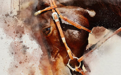 Equine Therapy and Ego Destruction: Interview with Matthew Kahl on Veteran Suicide Prevention and Psychedelics