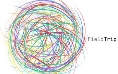 Building the Infrastructure for Legal Psychedelic Therapy: Interview with Ronan Levy of Field Trip Psychedelics