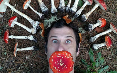 Psychedelics, Mysticism and Ritual Magick: Interview with Author and Historian Tom Hatsis
