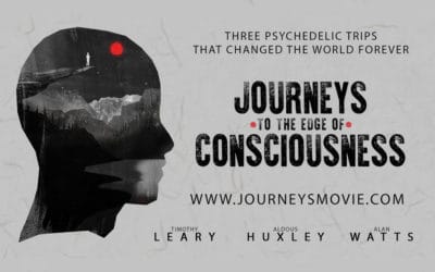 Journeys to the Edge of Consciousness: Interview with Rob Harper