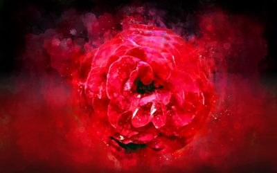 The Rose Of Paracelsus: On Secrets & Sacraments by William Leonard Pickard – An Appreciation by Dave Lee