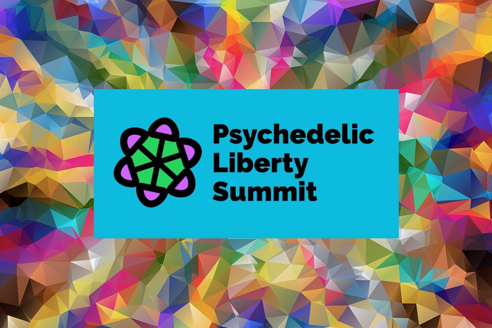 Psychedelic Liberty and Cultural Diversity: Interview with Bob Otis of Chacruna’s Council for the Protection of Sacred Plants