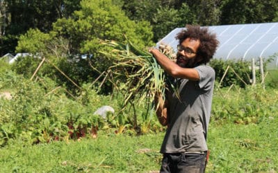 “The End Is Just the Beginning”: Where Farming Gets Psychedelic