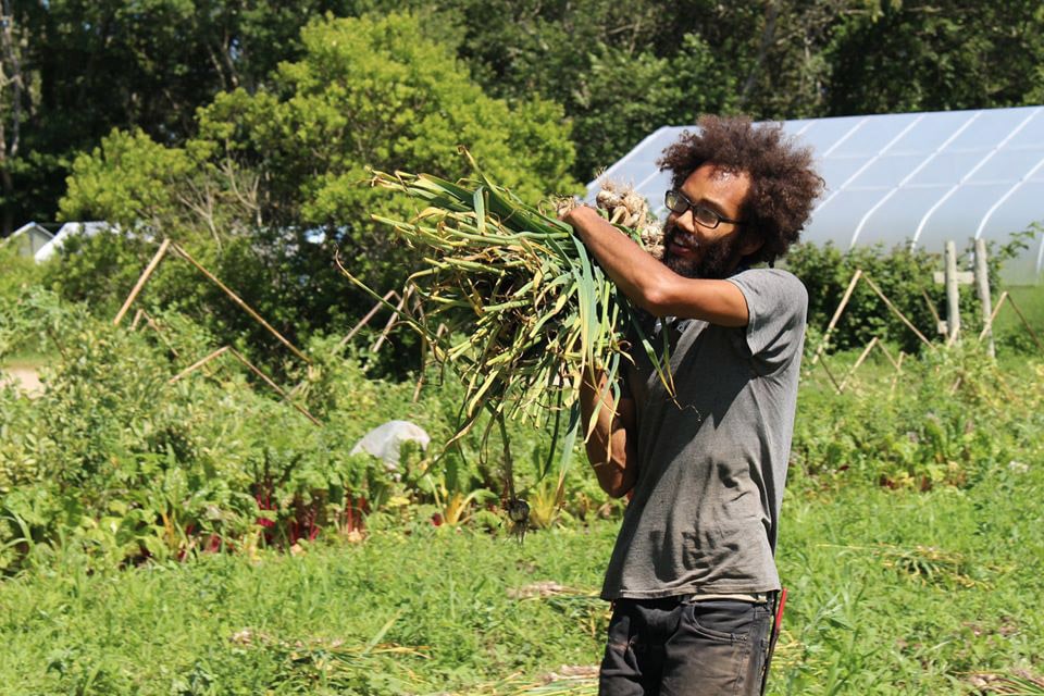 “The End Is Just the Beginning”: Where Farming Gets Psychedelic