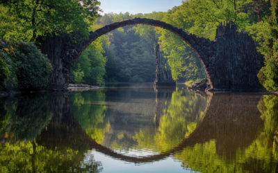 Psychedelics and Sustainability in a Post-Truth World: An Interview with Dr. Travis Cox