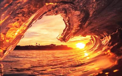 Accessing Flow States: Interview with Sports Psychologist and Psilocybin Advocate Shane LeMaster