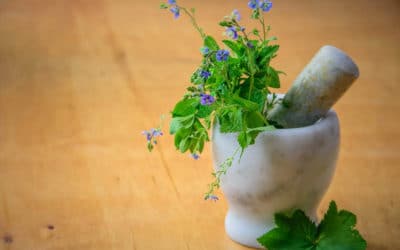Bay Area Healers Resilience Fund Seeks Donations To Support Integrative Healers