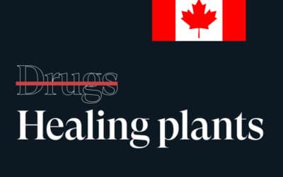 Help Decriminalize Nature Canada Petition the Canadian Government to Decriminalize Psychedelic Plants
