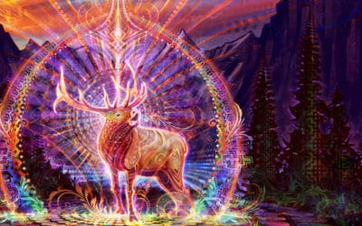 Learning From Animals with Psychedelic Intelligence