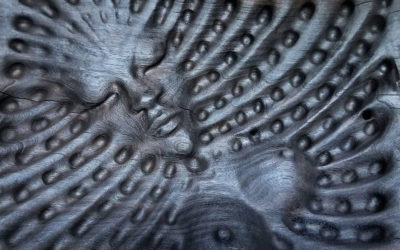Ancestors in the Wood: Interview with Visionary Wood Carver Chris Isner