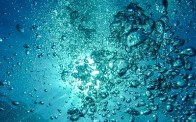 MDMA, Water, Seizures, and Death: Interview with Gabriel Kearns, M.D. and Founder of Elevation Chemicals